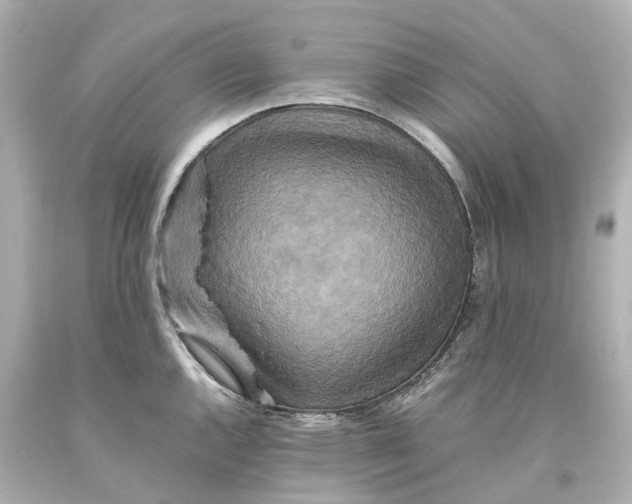 X0000093611144200711051214