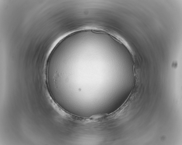 X0000093611148200711051214