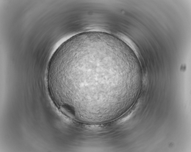 X0000093611149200711051214