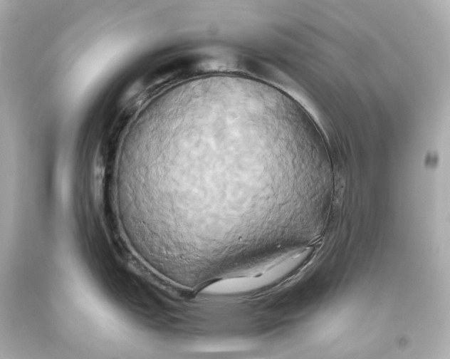 X0000093611151200711051214