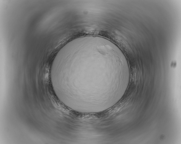 X0000093611154200711051213