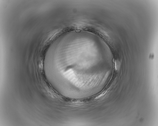 X0000093611155200711051213