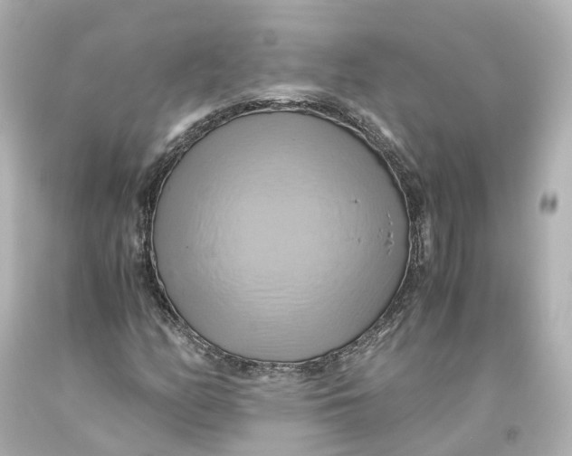 X0000093611158200711051213