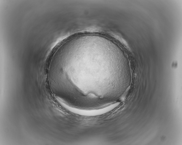 X0000093611160200711051213