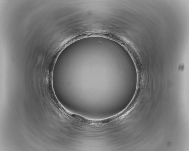 X0000093611161200711051213