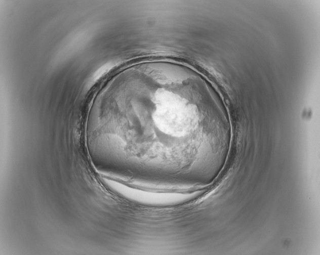 X0000093611163200711051213