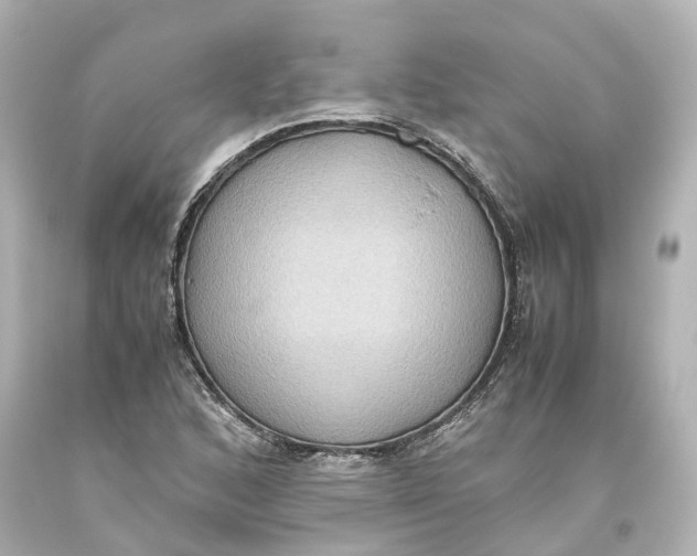 X0000093611168200711051213