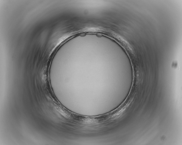 X0000093611170200711051213