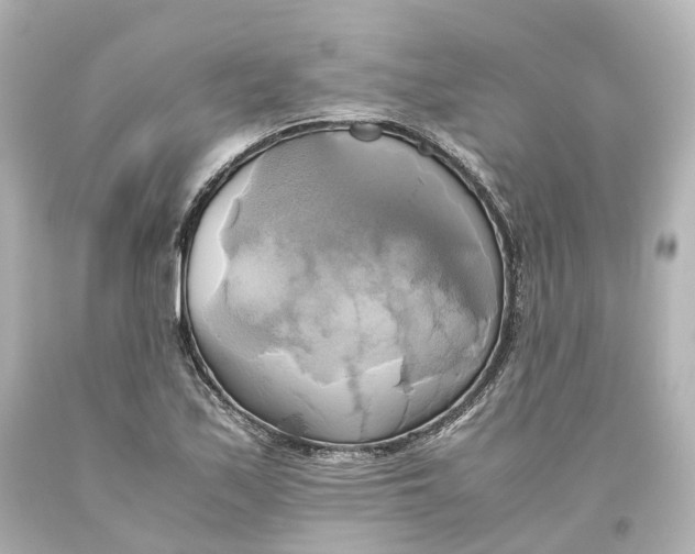 X0000093611171200711051213