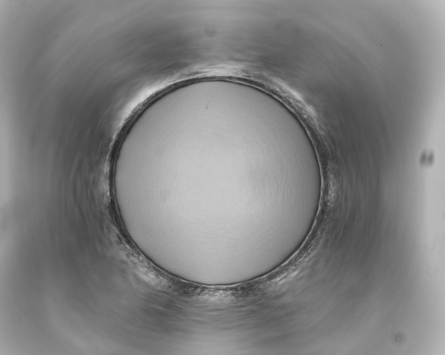 X0000093611174200711051213