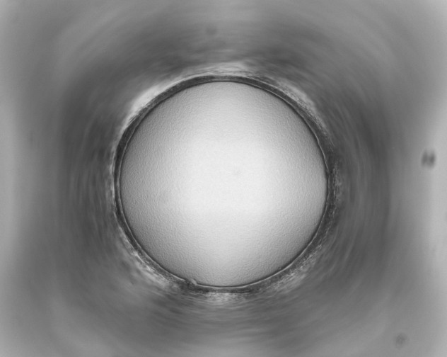X0000093611176200711051213