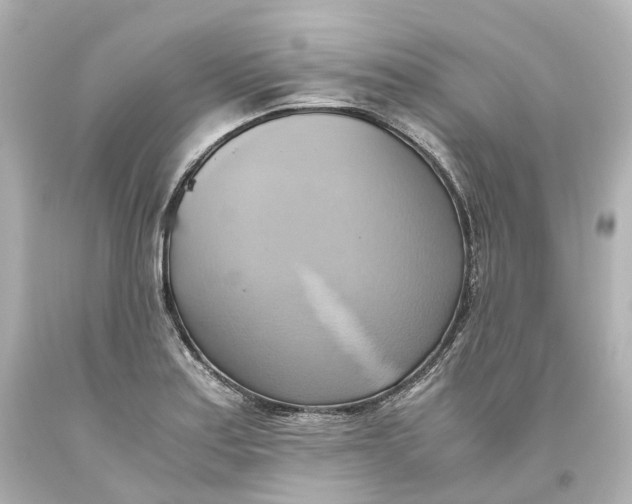 X0000093611179200711051213