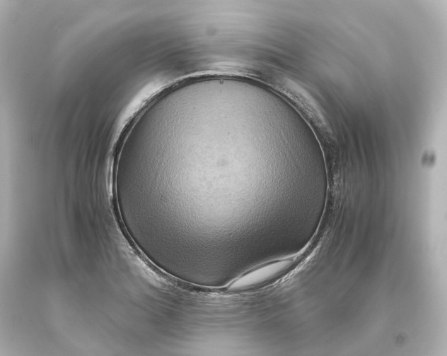 X0000093611180200711051213