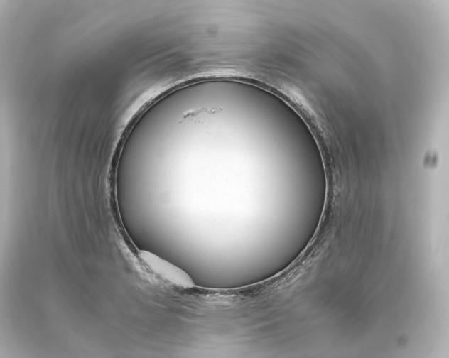 X0000093611181200711051213