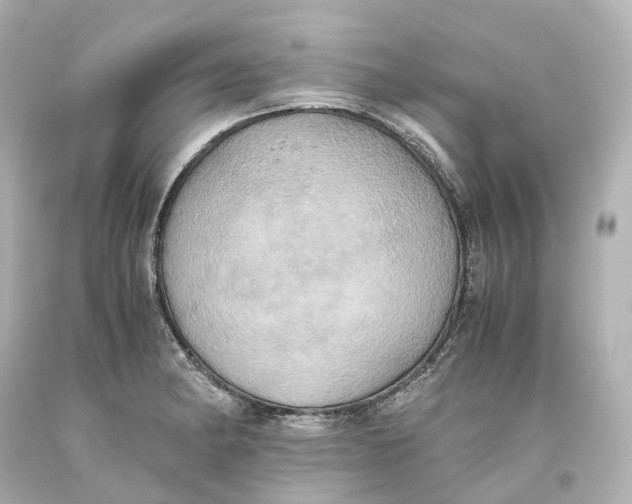 X0000093611182200711051213