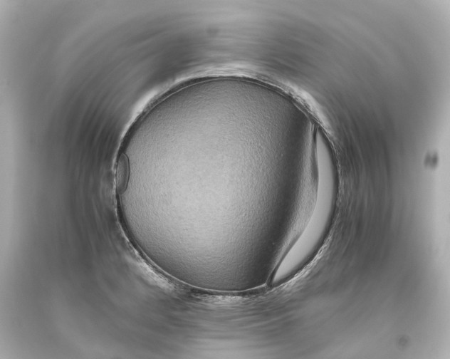 X0000093611184200711051213