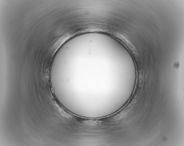 X0000093611185200711051213