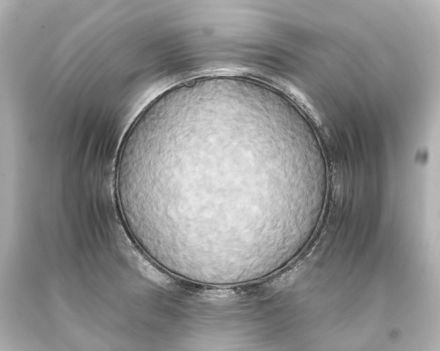 X0000093611186200711051213