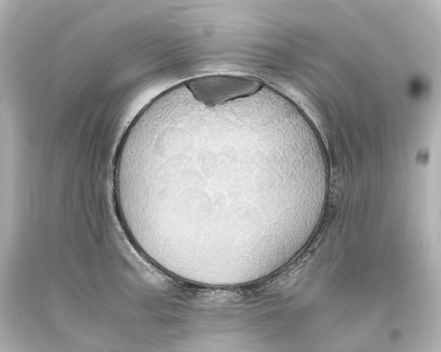 X0000093611187200711051213