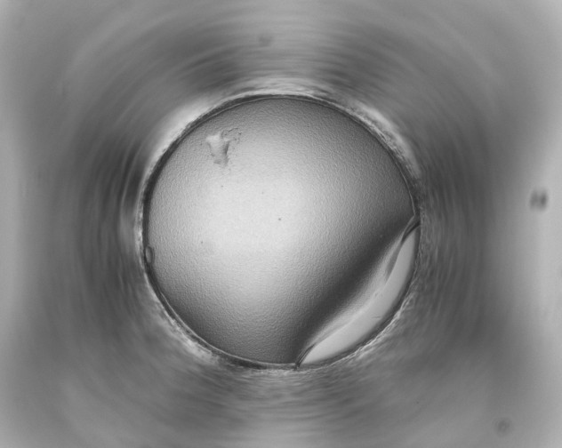 X0000093611188200711051213