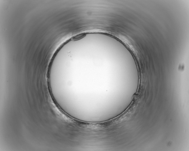 X0000093611189200711051213