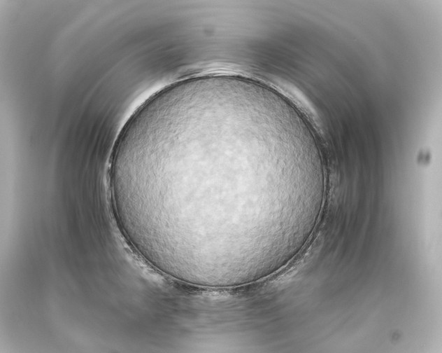 X0000093611190200711051213