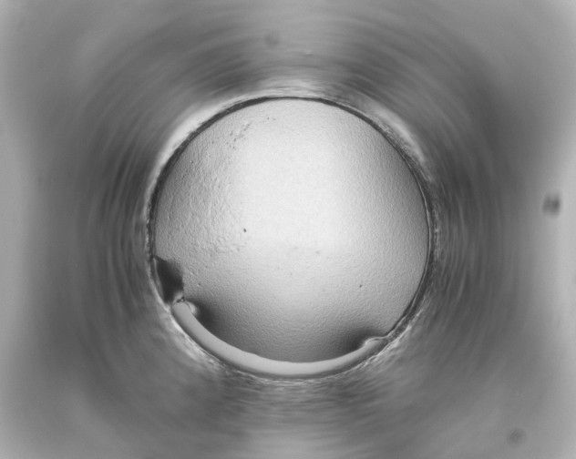 X0000093611192200711051213