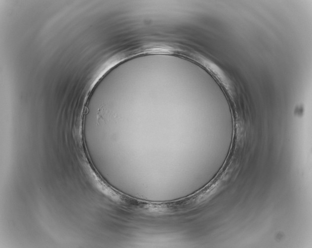 X0000093611194200711051213