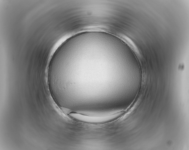 X0000093611196200711051213