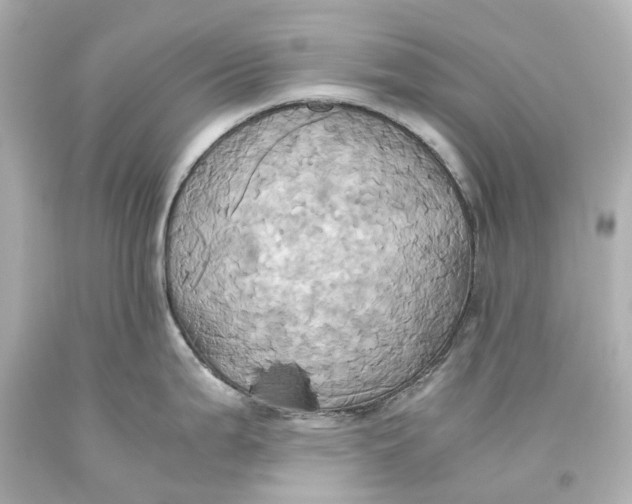 X0000093611199200711051213