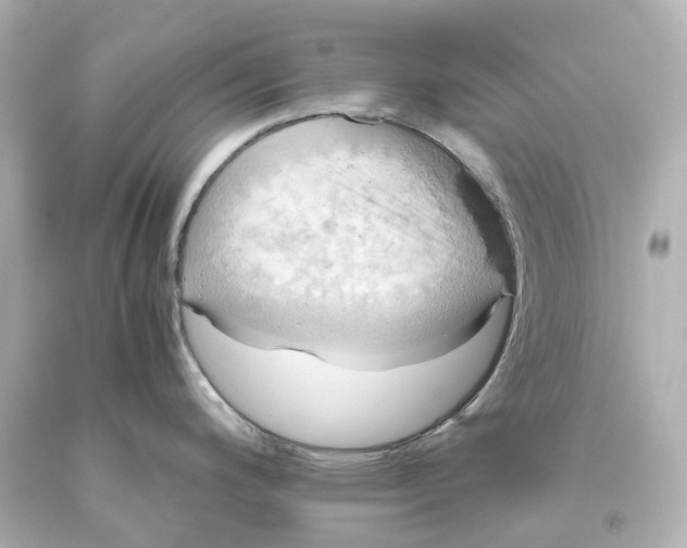X0000093611200200711051213