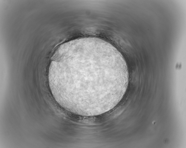 X0000093611201200711051212