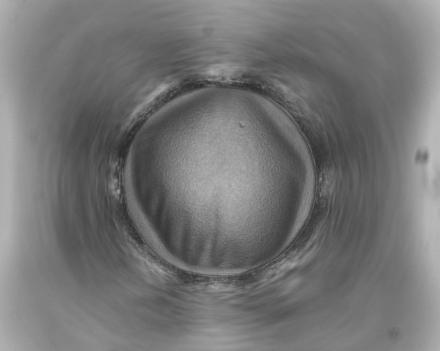 X0000093611202200711051212