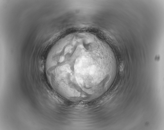 X0000093611204200711051212