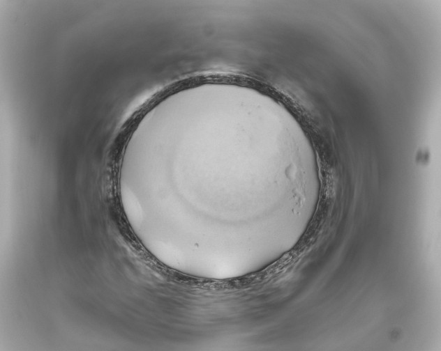 X0000093611208200711051212