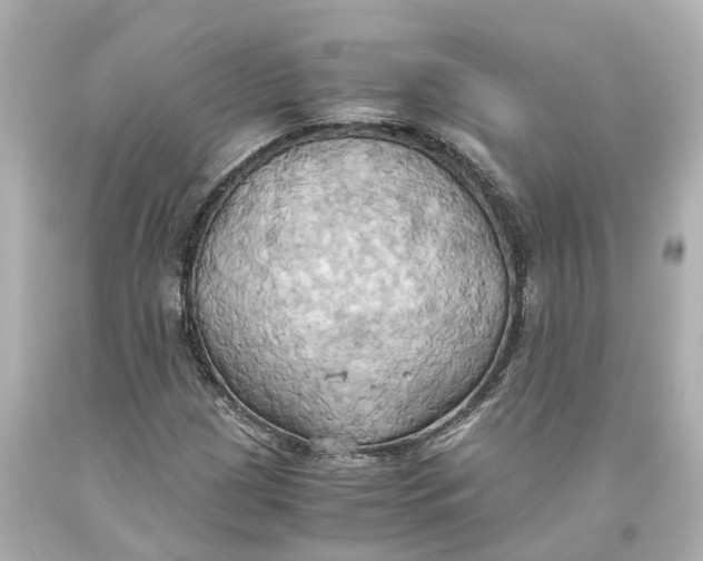 X0000093611209200711051212