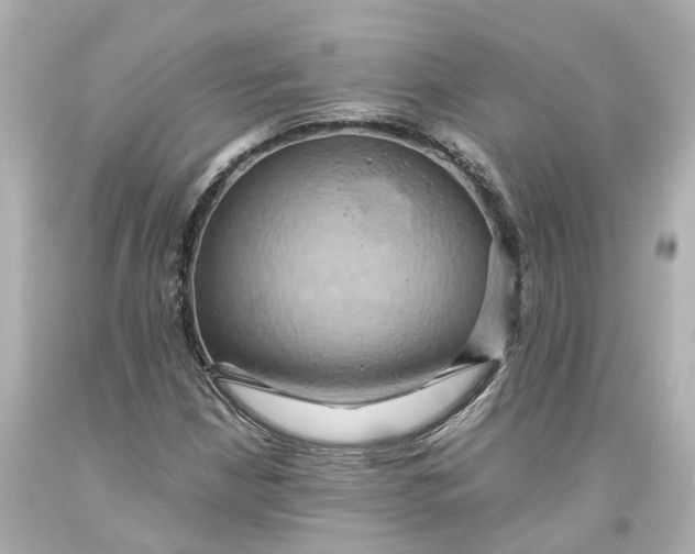 X0000093611210200711051212