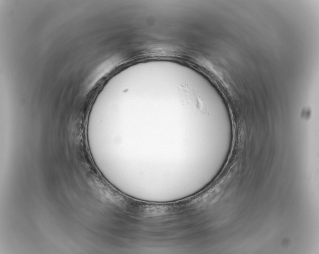 X0000093611211200711051212