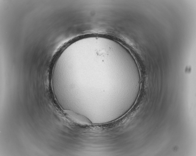 X0000093611214200711051212