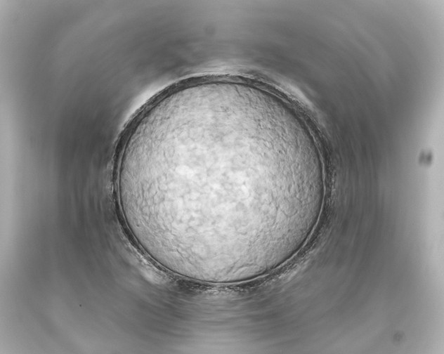 X0000093611216200711051212