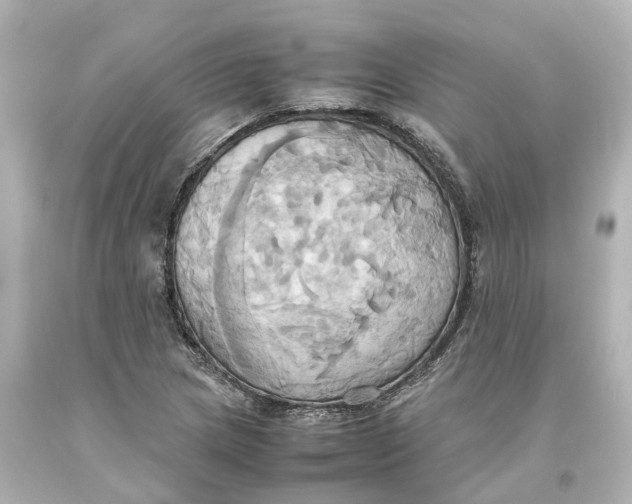 X0000093611217200711051212