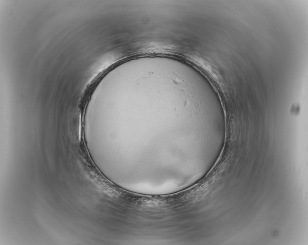 X0000093611219200711051212