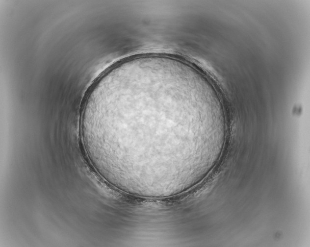 X0000093611220200711051212