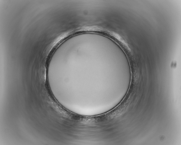 X0000093611221200711051212