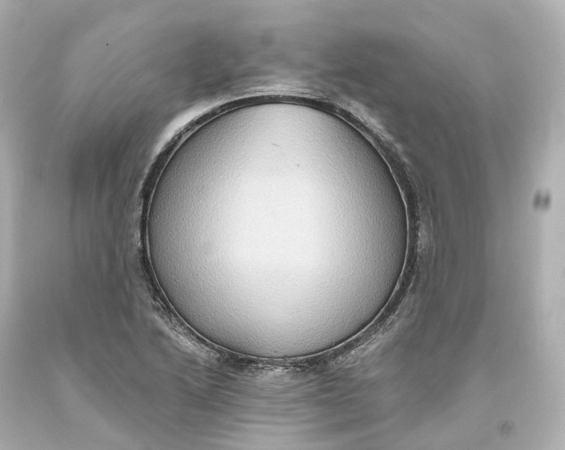 X0000093611222200711051212