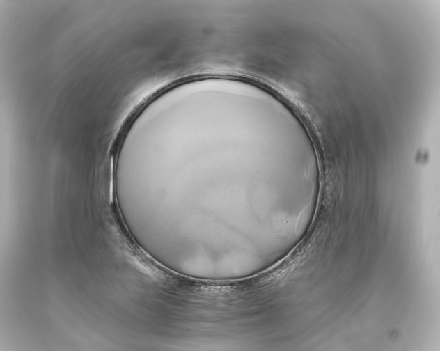 X0000093611223200711051212