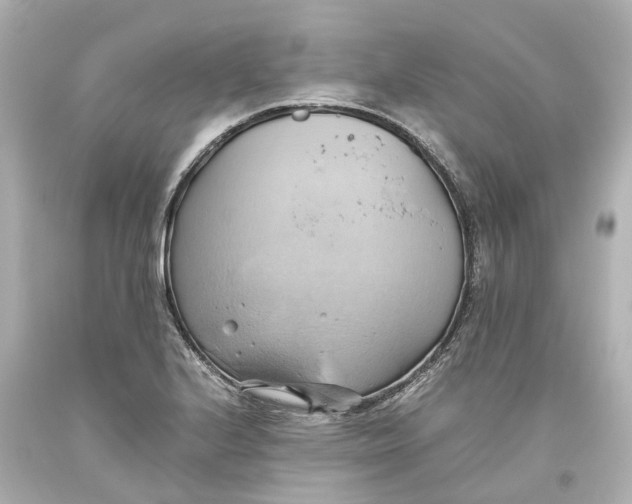 X0000093611224200711051212