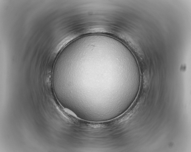 X0000093611225200711051212