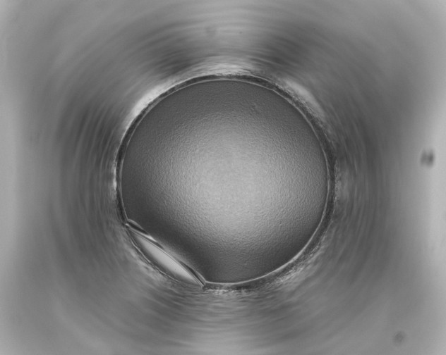 X0000093611226200711051212