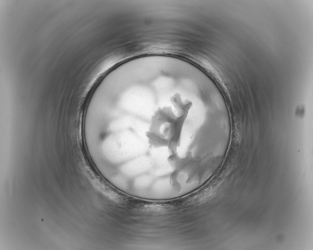 X0000093611227200711051212